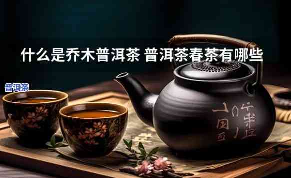 乔木春茶：种类与简介