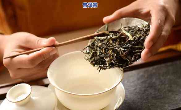 蒸普洱茶好不好冲凉喝呀-蒸普洱茶好不好冲凉喝呀女生