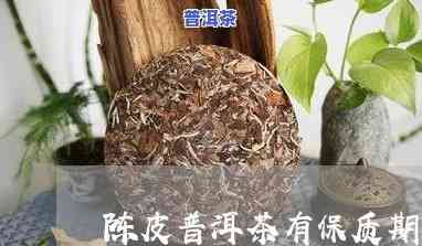 陈皮普洱茶的保质期，陈皮普洱茶：怎样判断其保质期？