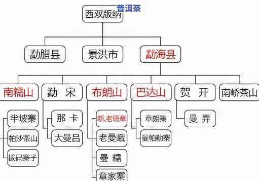 普洱茶的分类明细，详解：普洱茶的分类及其特点