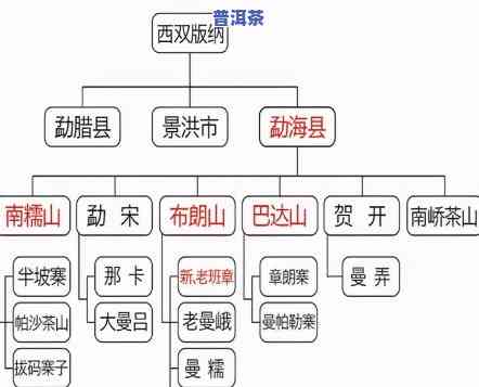 全面解析：普洱茶的种类及其分类方法