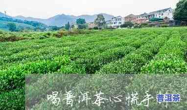 为什么喝完普洱茶手发抖心慌，解密普洱茶副作用：为何喝后手发抖心慌？