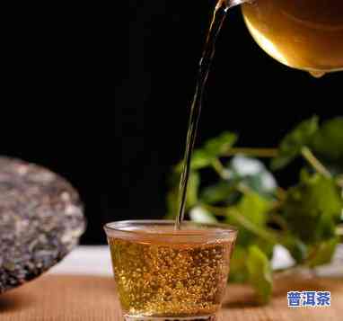 古树普洱茶怎么开壶好喝呢，「古树普洱茶」开壶教程：如何让口感更佳？