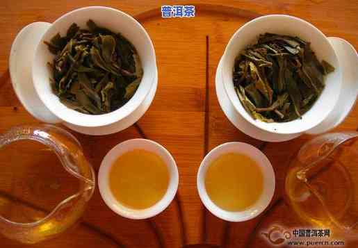 普洱茶评茶名师视频大全-普洱茶评茶名师视频大