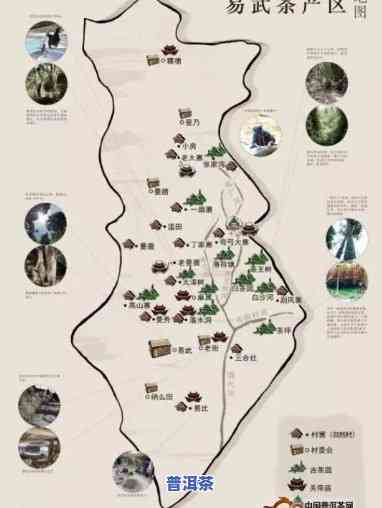 普洱茶分类分布表最新版-普洱茶分类分布表最新版图片
