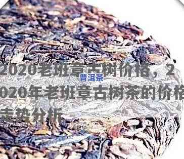 老班章古树开釆时间-2020老班章古树价格