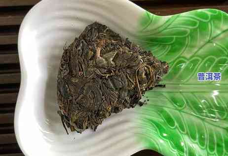 普洱茶有几个著名产区及其所在茶区？