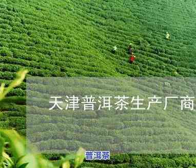 天津普洱茶收购厂家电话-天津普洱茶收购厂家电话号码