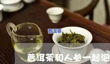 人参普洱茶的功效与作用：能否同时饮用？