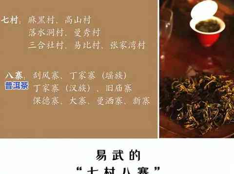 易武普洱茶包含哪些茶种呢，探索易武普洱茶的世界：熟悉其包含的多种茶种