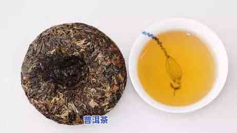 冬天喝生普洱茶还是喝熟普洱茶，冬日饮品选择：生普洱茶与熟普洱茶，你该喝哪个？