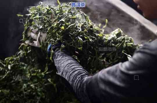 普洱茶杀青过程图片欣赏-普洱茶杀青过程图片欣赏大全