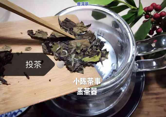 普洱茶饼茶饼正确冲泡方法：步骤详解