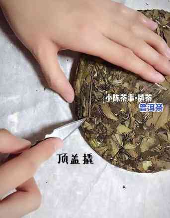 普洱茶饼茶饼正确冲泡方法：步骤详解