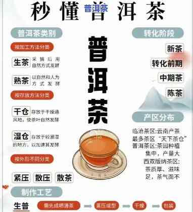 普洱茶加盟快速入门视频教程：详解操作步骤与技巧