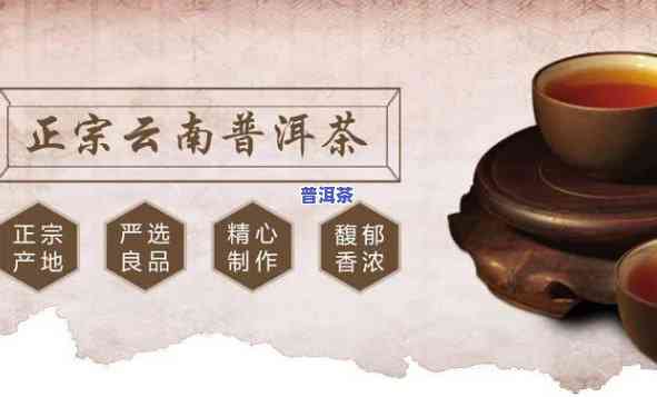 普洱茶加盟快速操作指南：视频教程与经验分享