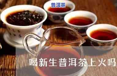 喝普洱生茶上火吗？探讨其可能的作用与起因