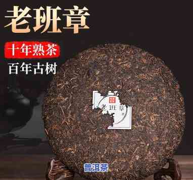 老班章百年十口茶树-十年老班章茶价格