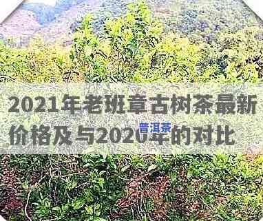 2020老班章茶皇古树茶价格与古茶树王价格对比