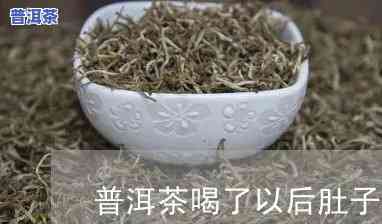 普洱茶喝多了肚子会胀气吗，普洱茶过量饮用会引起肚子胀气吗？