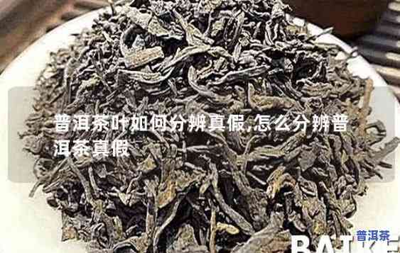 曼迈普洱茶怎样辨别真假-曼迈普洱茶怎样辨别真假视频