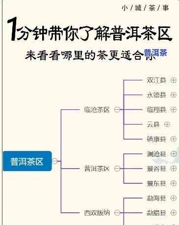 普洱茶评判标准全解析：最新版本及详细内容