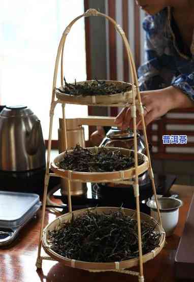 野生普洱茶更佳冲泡方法教程：怎样冲泡出更好喝的味道？