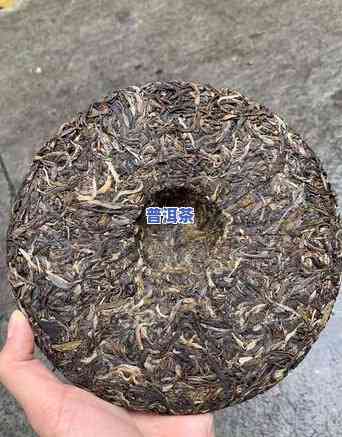 老班章古树茶：品种、特点与功效全解析