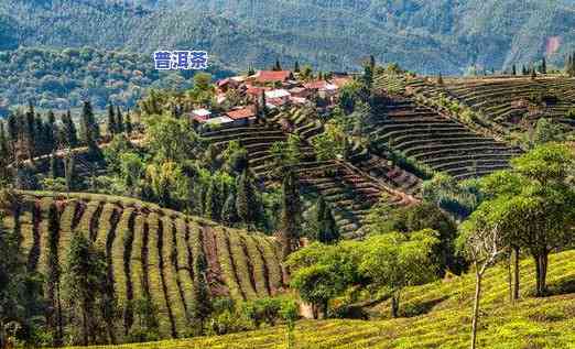 云南普洱茶产区场景图片欣赏，探索云南普洱茶产区：美景与风情的双重享受