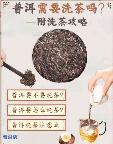 普洱茶泡茶洗茶时间多长好？从专业角度看