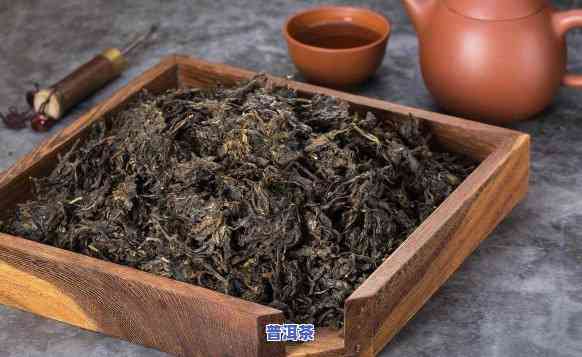 喝普洱茶与胃癌风险有关吗？女性和客户的相关研究