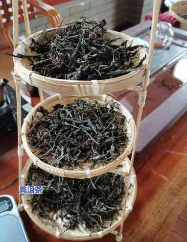 干炒普洱茶技巧视频教程：从入门到精通