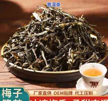 永珍号梅子青普洱茶怎样-永德梅子箐茶的特点