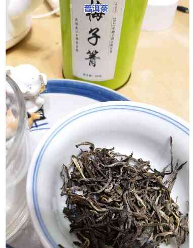 永珍号梅子青普洱茶怎样-永德梅子箐茶的特点