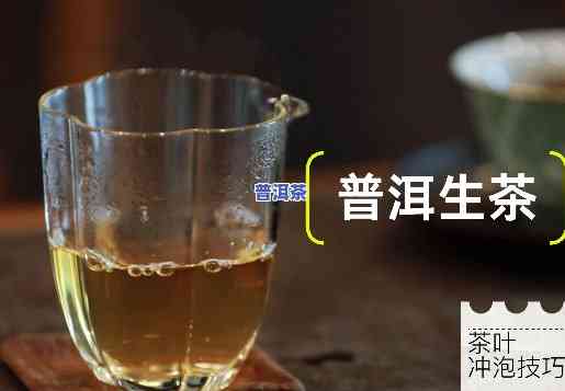 怎样知道生普洱茶更佳浸泡时间？掌握这一技巧，轻松品尝出美妙口感！