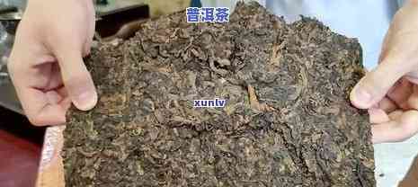 迷弟普洱茶在哪里卖的啊-迷弟普洱茶在哪里卖的啊是真的吗