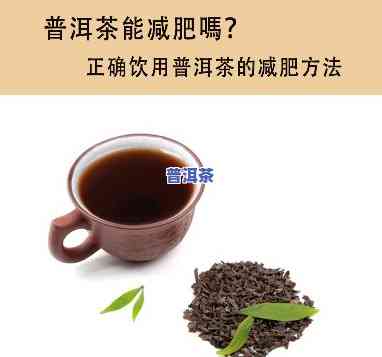 喝普洱茶熟茶能减肥吗女-喝普洱茶熟茶能减肥吗女性