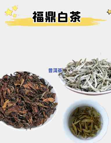 福鼎白茶和红茶哪个好，白茶or红茶？探讨福鼎两大名茶的优劣