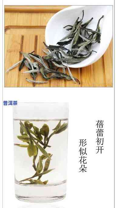 福鼎白茶红茶绿茶普洱茶-福鼎白茶红茶还是绿茶