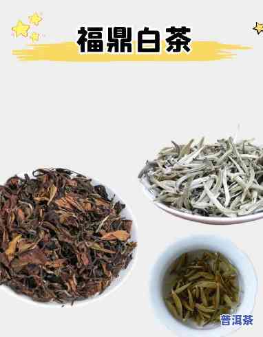 福鼎白茶红茶绿茶普洱茶-福鼎白茶红茶还是绿茶