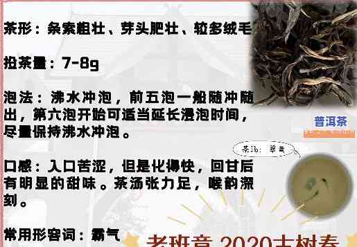 老班章古树茶的冲泡方法及饮用作用：全面解析