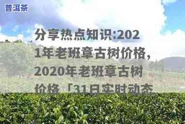 2021年老班章古树价格走势及与2020年的比较