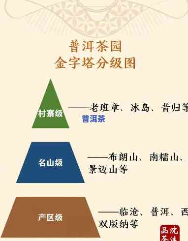 普洱茶各产地区别对比图高清大全