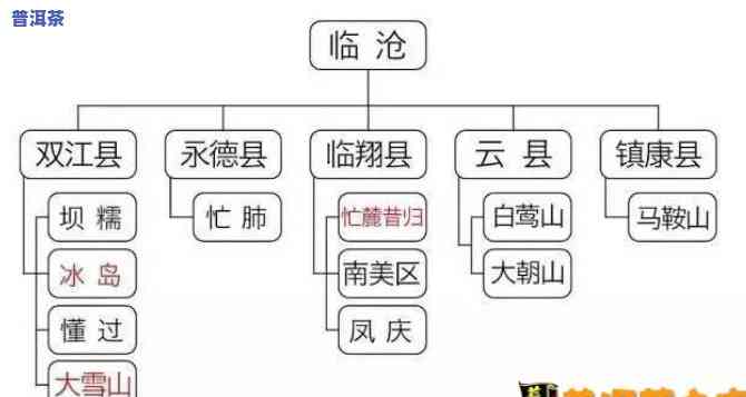 普洱茶各产地区别对比图高清大全