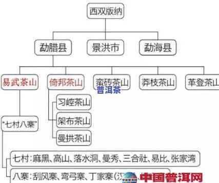 普洱茶各产地区别对比图高清大全