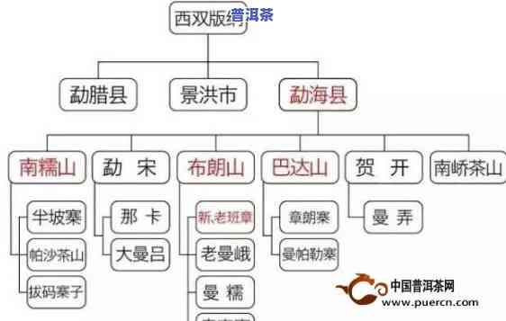 普洱茶各产地区别对比图高清大全