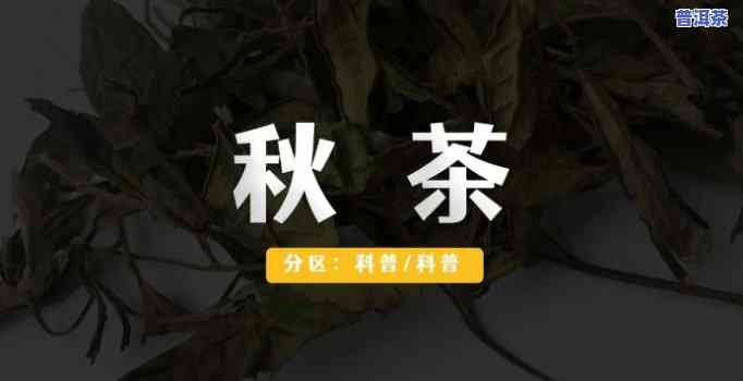 秋字取普洱茶名好吗男孩-秋字取普洱茶名好吗男孩子