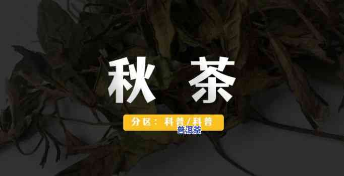 秋字取普洱茶名好吗男士-秋字取普洱茶名好吗男士怎么取