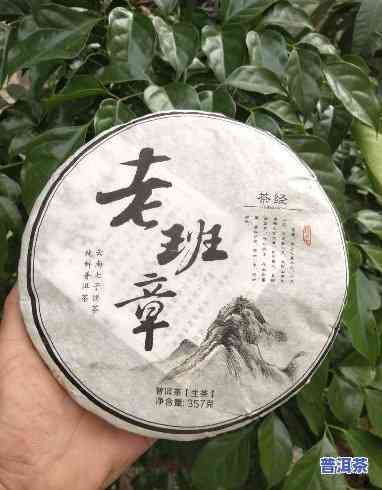 百年老班章2017，探秘百年老班章2017：一饼传奇普洱茶的诞生与传承