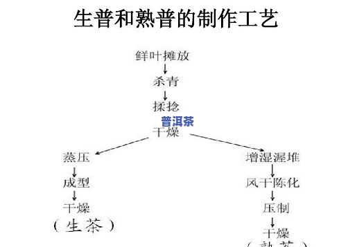 普洱茶生普制作工艺流程详解